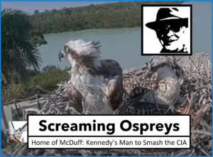 Mcduff Screaming Ospreys
